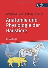 Anatomie und Physiologie der
