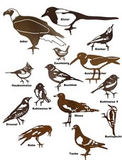 verschiedene Vögel -