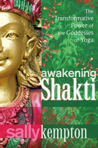 Awakening shakti the - |,
