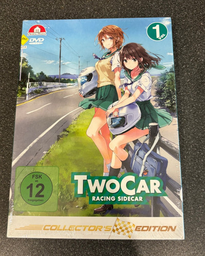 Two car racing sidecar - two,