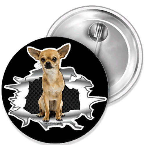 Chihuahua hunde best freund - hunde,
