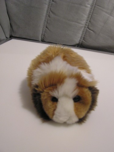 Plüschtier meeschweinchen - plüschtier,