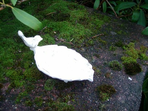 Vogeltränke
