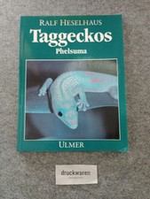Taggeckos : Phelsumen