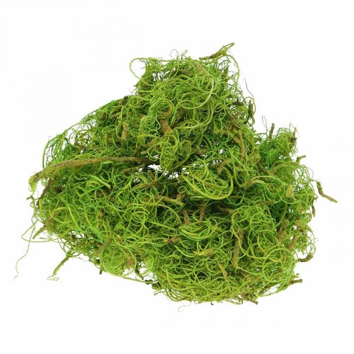 Tamarindenfaser exotisch - tamarindenfaser,