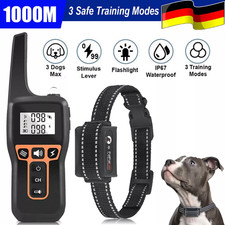 Hund ausbildung - hund,