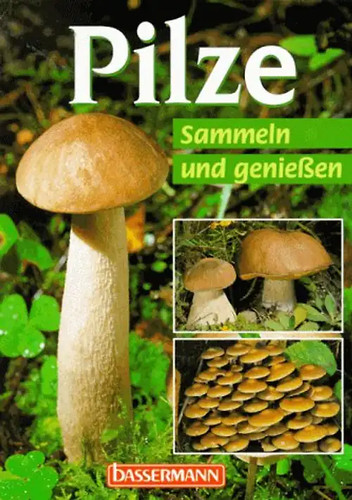 Pilze sammeln und - sammeln,