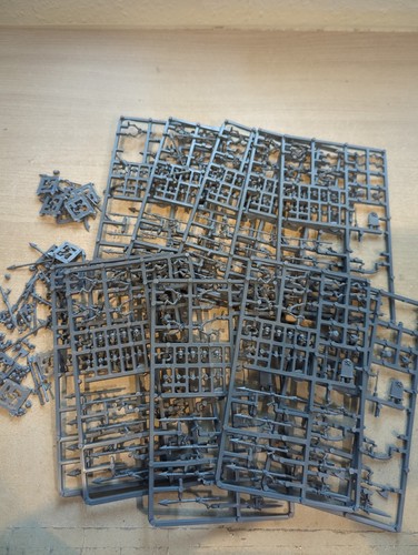 Skelettkrieger warhammer - skelettkrieger,