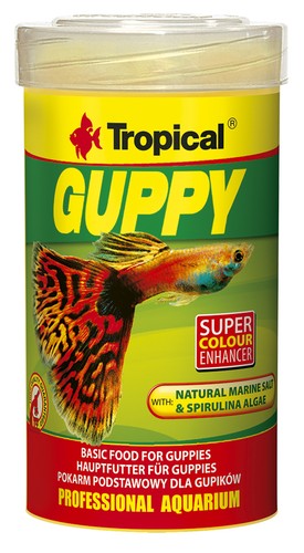 Tropical guppy fischfutter - tropical, guppy-