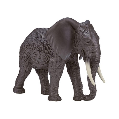 Afrikanischer elefant - afrikanischer,