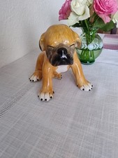 Boxer Welpe
