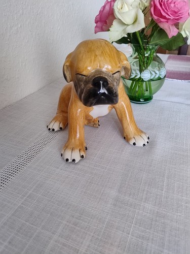 Boxer welpe - boxer,