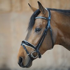 % Kavalkade Trense Romeo mit