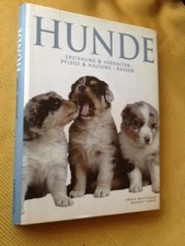 Hunde, Erziehung und