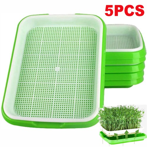 Keimschalen für sprossen - keimschalen,