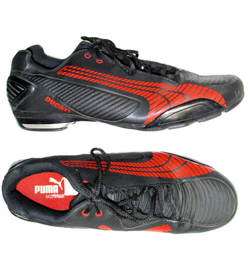 Puma testastretta iii - testastretta,