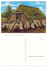 133133 - Schafstall und