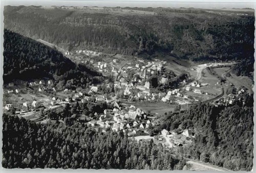 Gruenberg schlesien zielona - gruenberg,