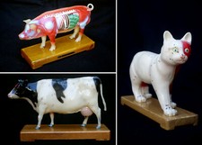 3 Tier-Akupunkturmodelle -