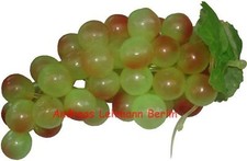 Traube Weintraube Weiss Rot