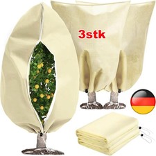 3 Stück Set XXL Pflanzen