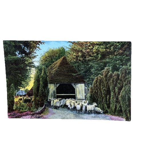 Postkarte lüneburger heide - ak,