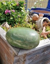 NEU! Grünes- Ei-Kugel-Stein