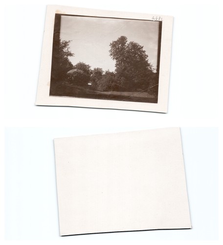 Danzig 1903 - ,