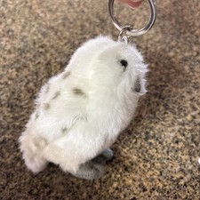 Universal Studios Wizarding