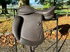 BAUMLOSER Dressur Native/Cob