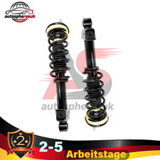 1Paar Stoßdämpfer Hinten