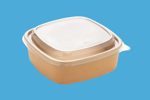 300 salatschalen salatbox - salatschalen,
