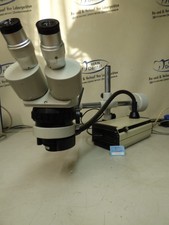 Mikroskop Stereo Zoom