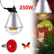 Wärmelampe für Tieraufzucht