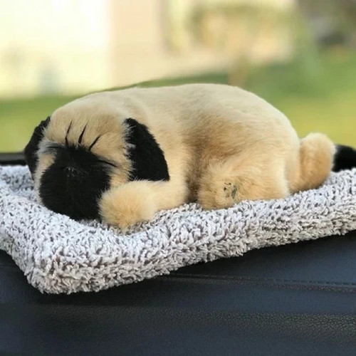 Hund welpe mops - welpe, großer