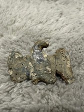 Antikes Adlerabzeichen aus dem