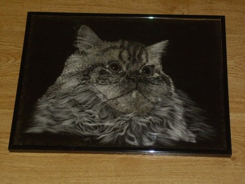 Katzen bild 5 x x31 - „katzen,