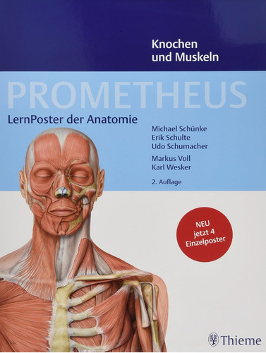 Lernposter der anatomie - der,