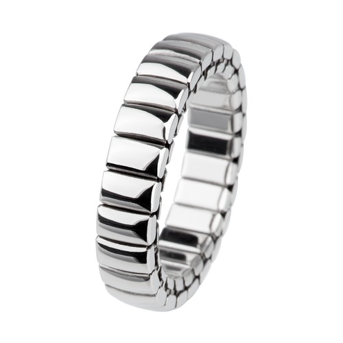 Ernstes design ring r312 - design,