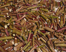 Artemisia annua chinesischer