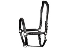 % Harry´s Horse Lederhalfter