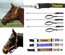 Halfter mit Namen ( Pony