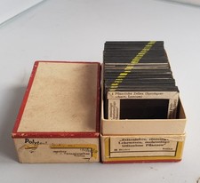 DDR Diaserie Zellenlehre R 759