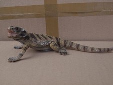 Bartagame groß Deko Figur