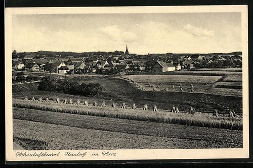 Ansichtskarte neudorf harz - neudorf,