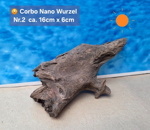 Corbo root nano - ‼️corbo, nano⭐️