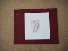 Claudia Stettner "Floris II",Limitiert(542/999)Künstler der Welt Lufthansa,1984+