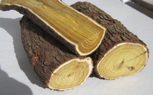 Osagedorn holz gelbholz - osagedorn,