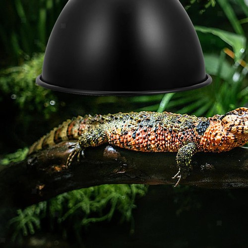 Reptilien-Kuppel-Lampenabdecku