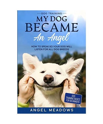 Dog training - training:, my